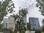 城市中的现代建筑与绿树