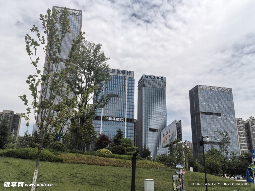 城市草地旁的现代高楼群