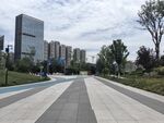 城市宽阔步道与高楼景观