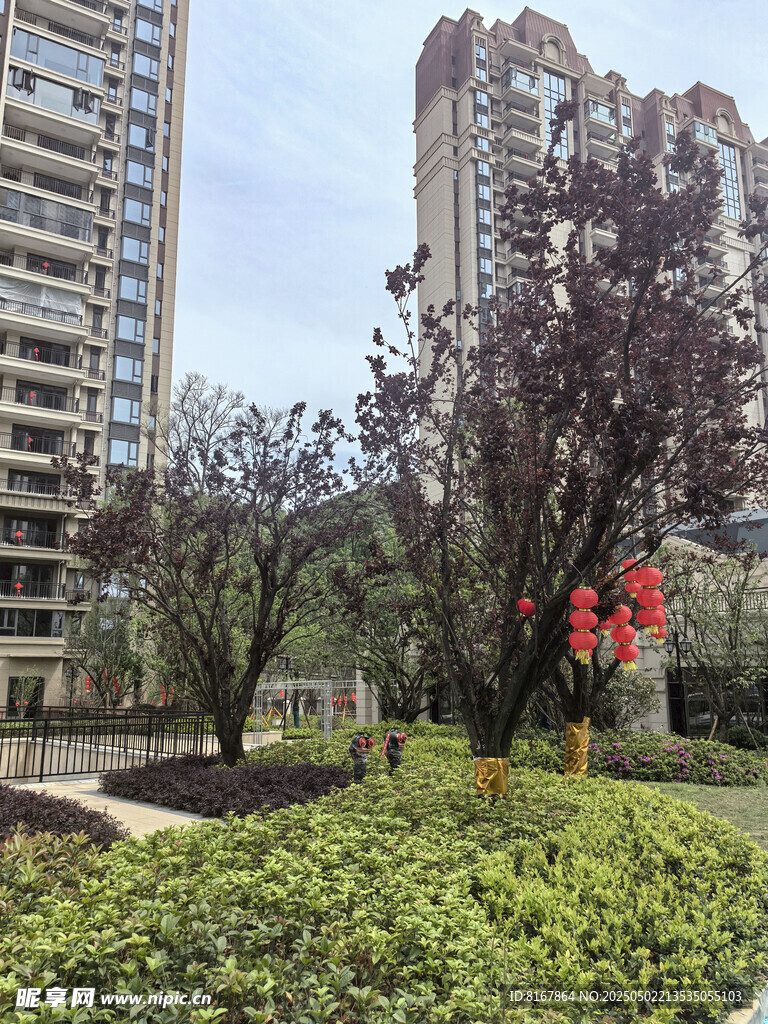 小区内的绿植与高层景观