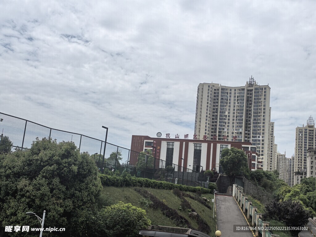 学校