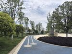 城市中蜿蜒的林荫道路