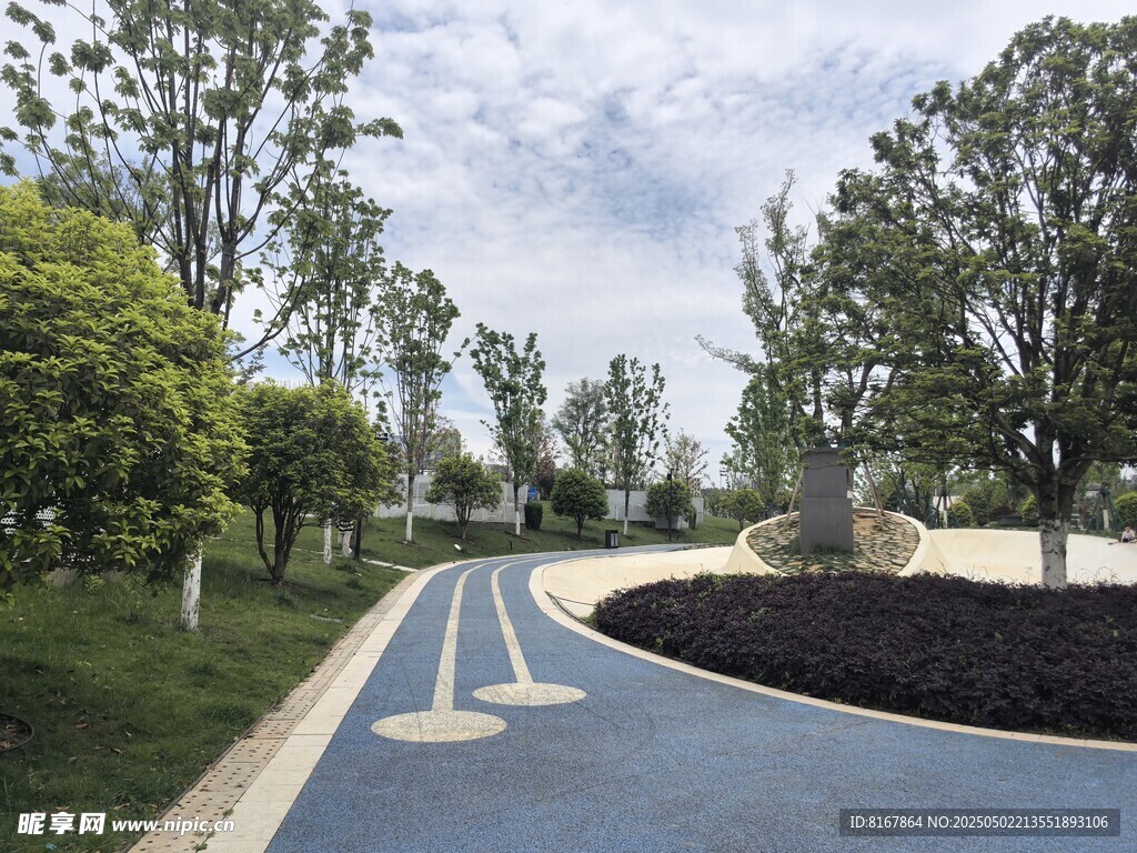 城市中蜿蜒的林荫道路