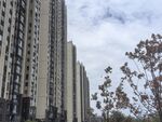 高楼林立的城市景象