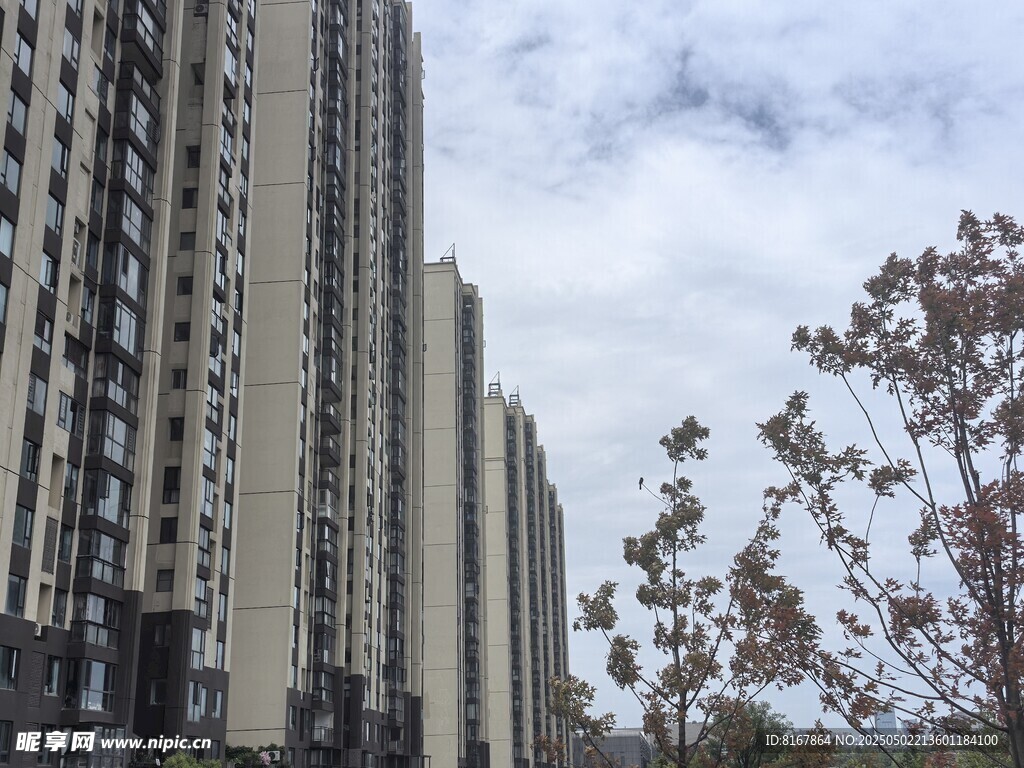 高楼林立的城市景象