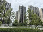 城市高楼与绿树景观