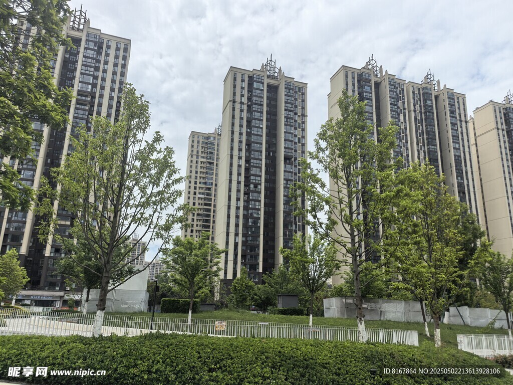城市高楼与绿树景观