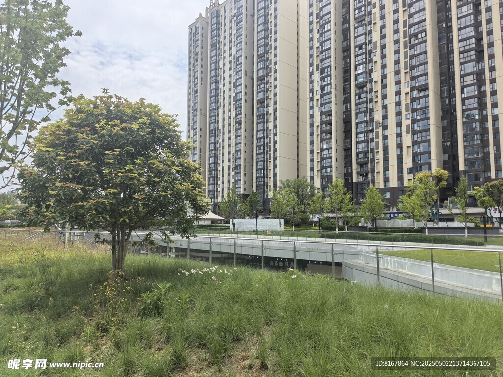 城市中高楼旁的绿地景观