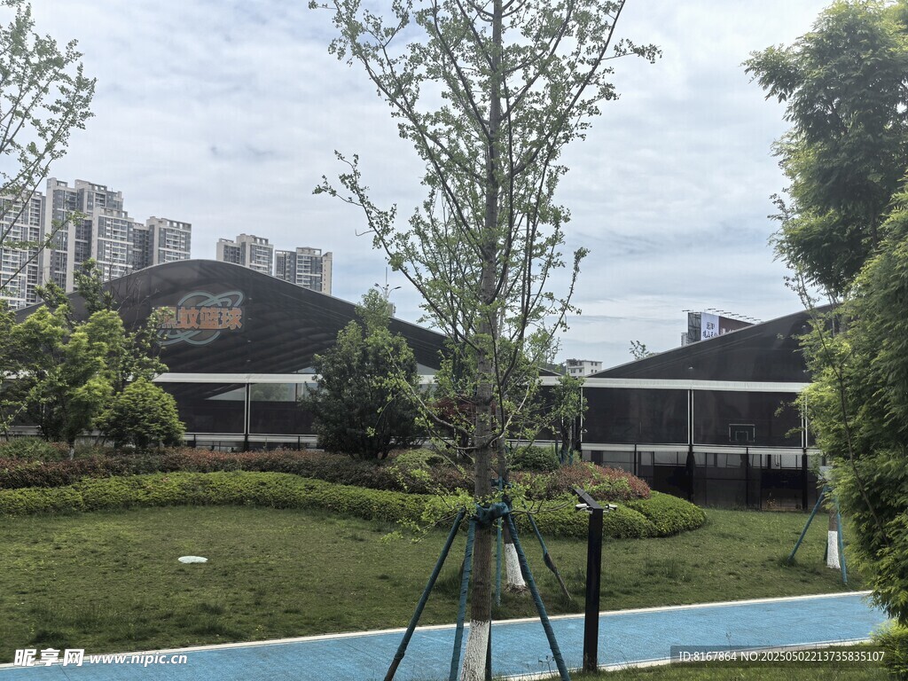 现代园林景观中的建筑与绿植