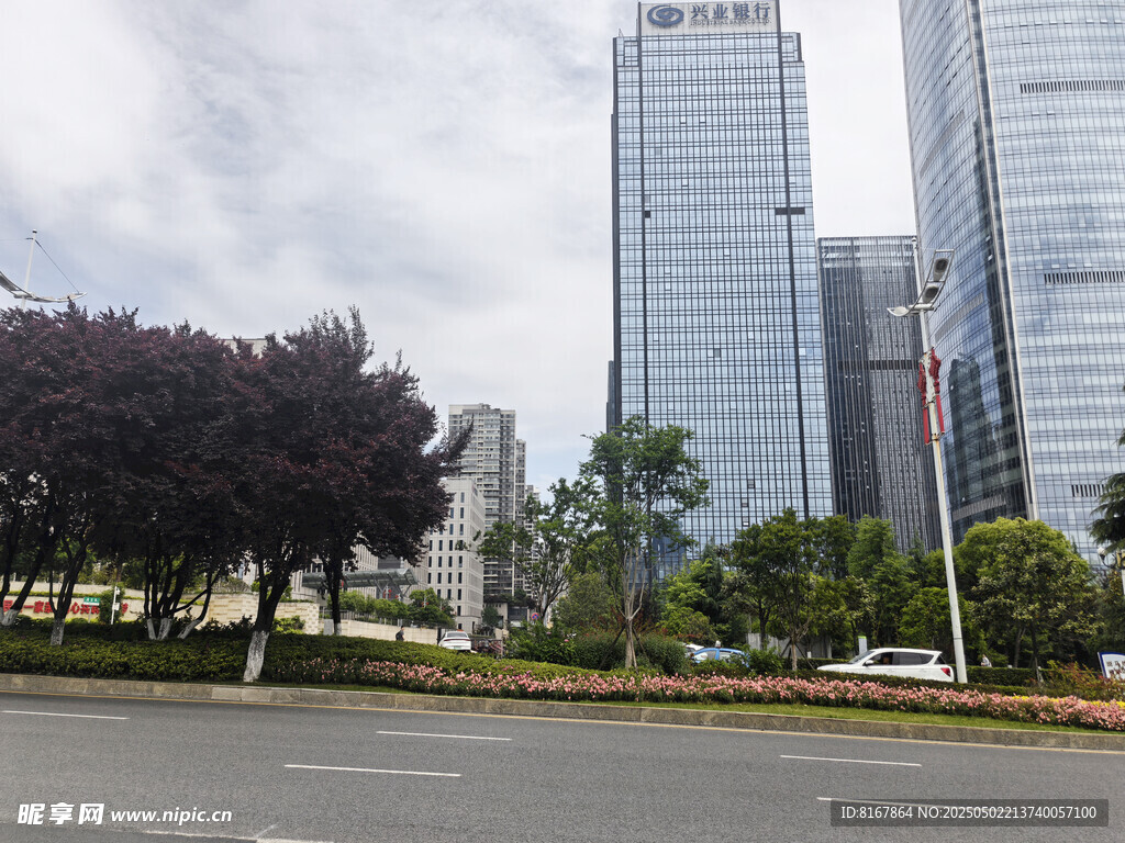 城市中的摩天大楼景观