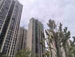 城市高楼与绿植景观