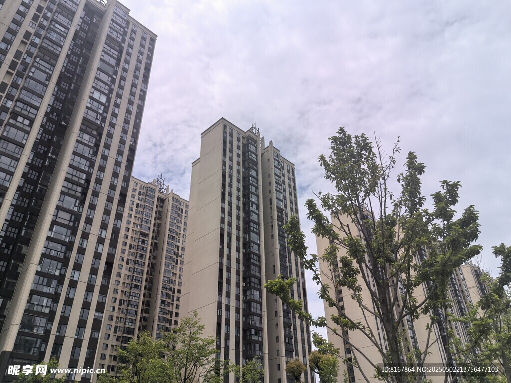 城市高楼与绿植景观