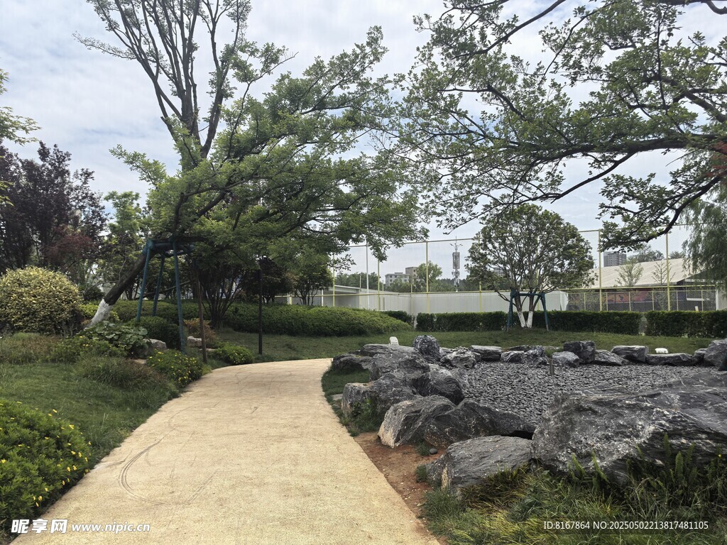 园林小径旁的绿植与山石