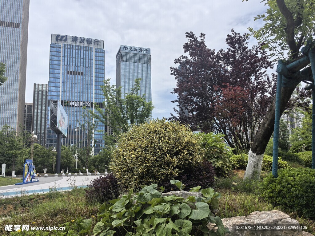 城市中的绿植景观一角