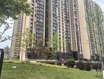 高层住宅旁的绿意草坪