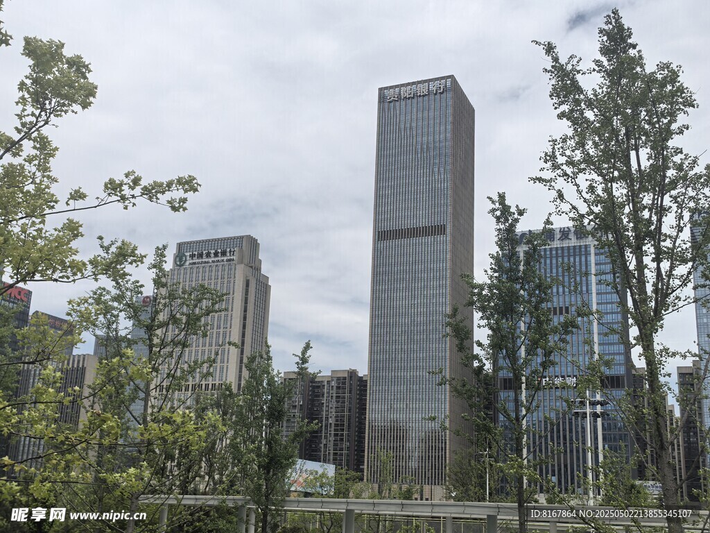 城市中的高楼与绿树景观