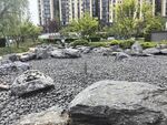 城市园林中的自然景观石
