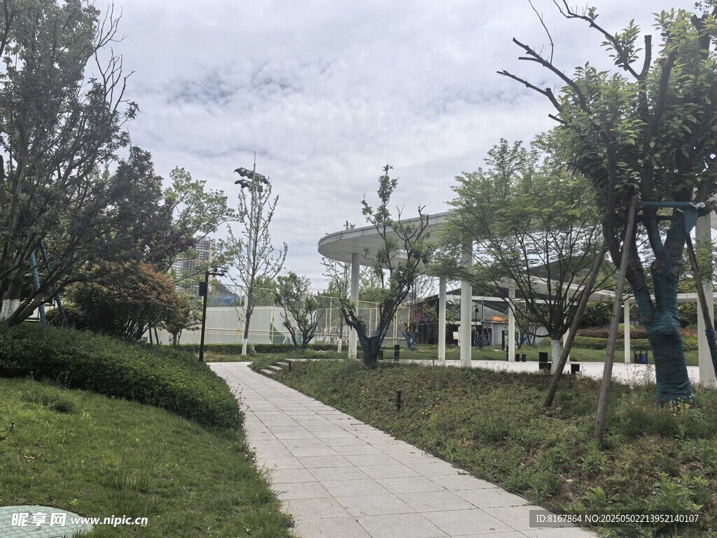 宁静的公园小径景观