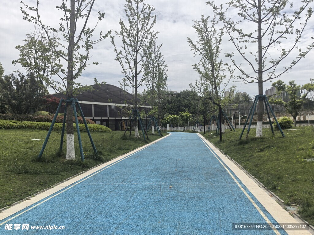 蓝色步道旁绿树环绕景观
