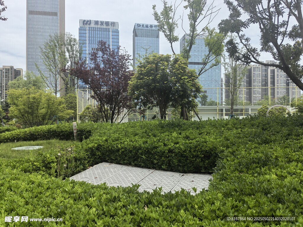 城市中的绿意景观角落