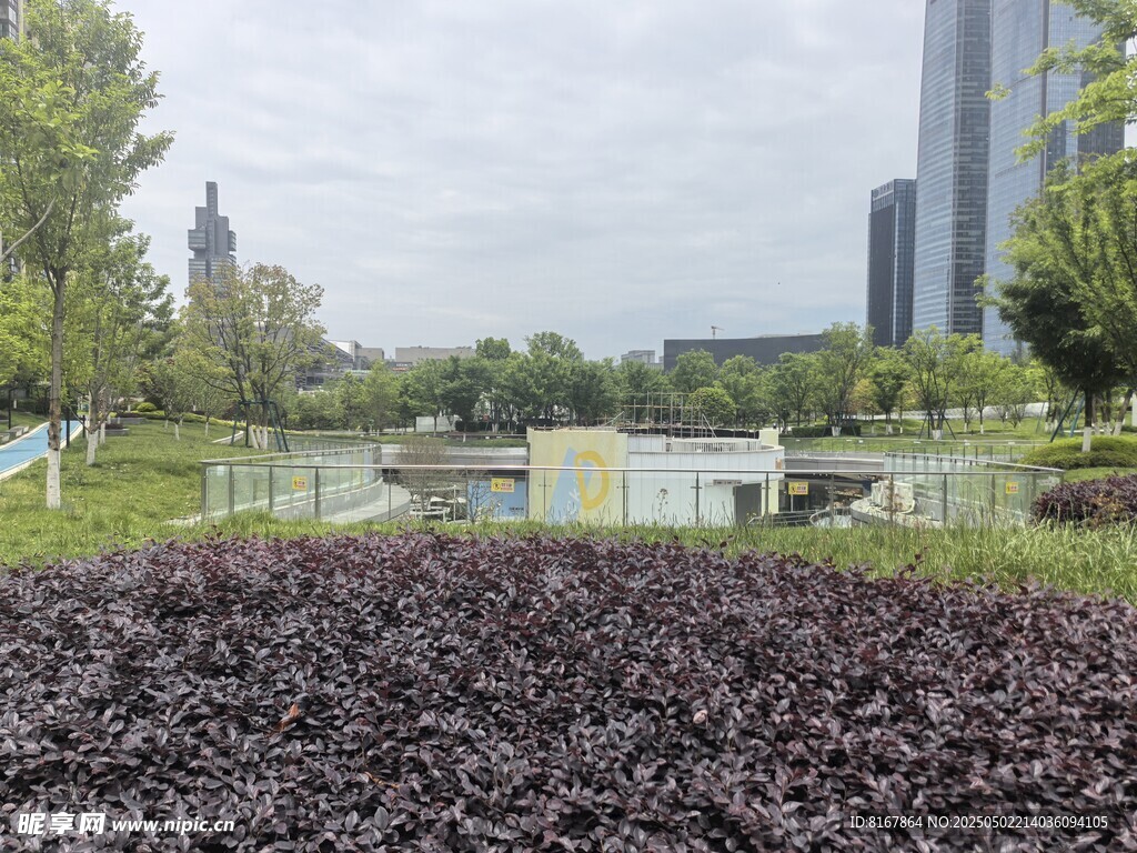 城市中多彩植物景观