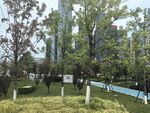 城市中的绿意公园景观