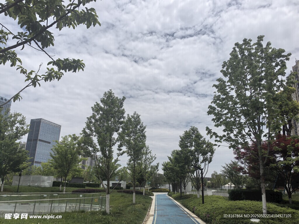 城市绿荫间的清新步道
