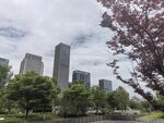 城市公园旁的高楼景致