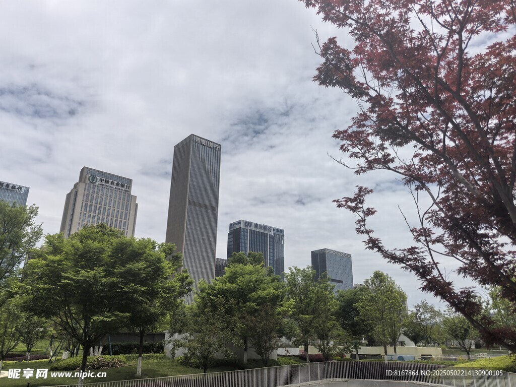 城市公园旁的高楼景致