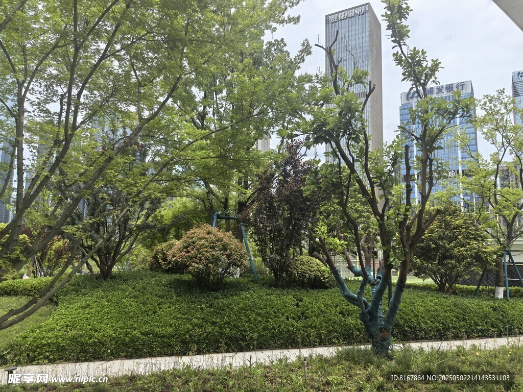 城市中的绿意盎然景观