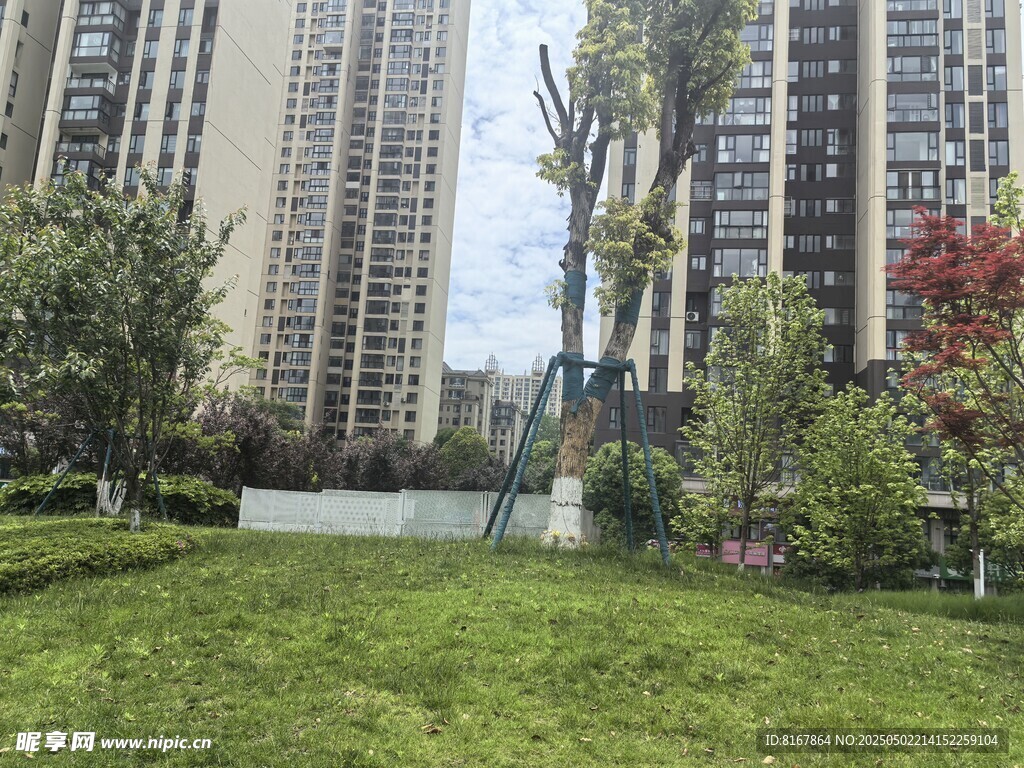 小区内的绿化景观