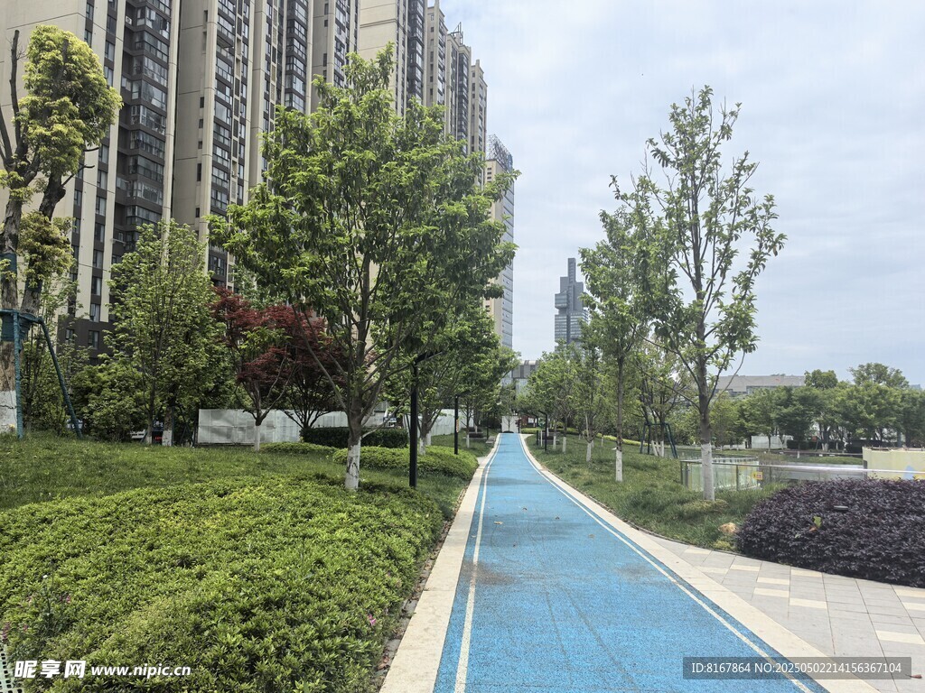 城市中的蓝色步道景观