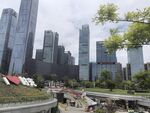 城市景观中的绿植与建筑