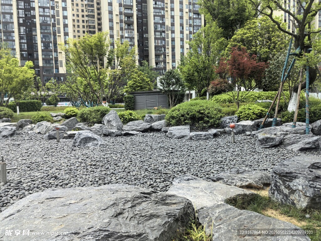 城市中的静谧园林景观