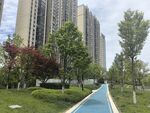 城市中的清新林荫步道