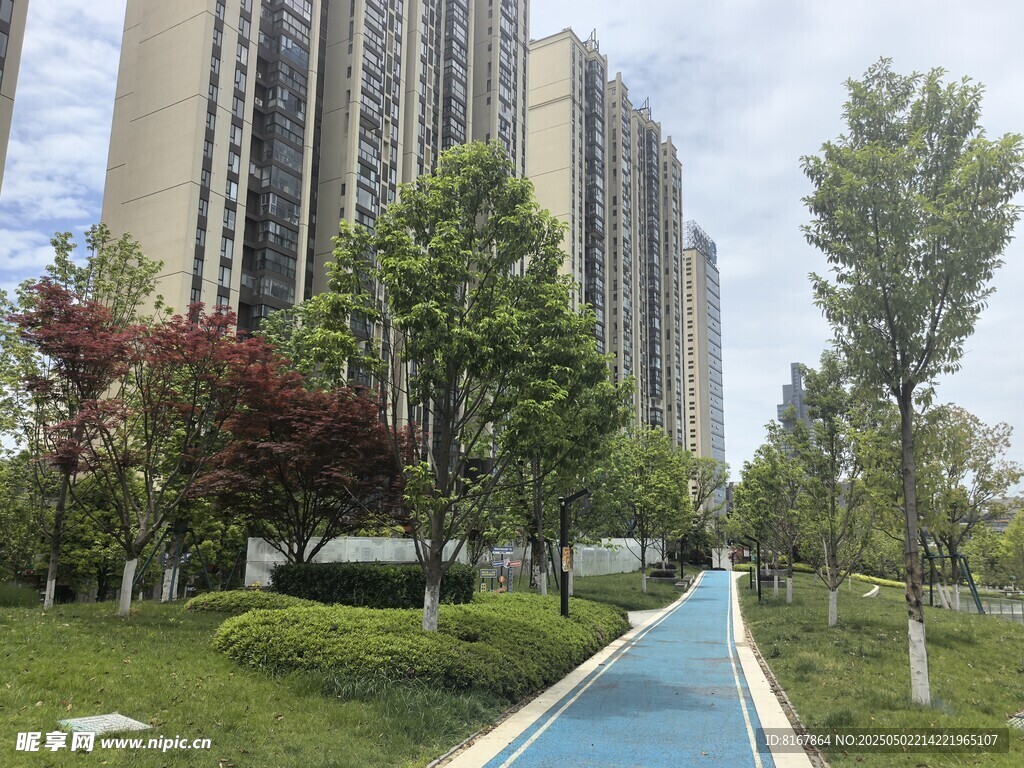城市中的清新林荫步道