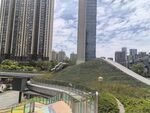 城市高楼旁的景观区域