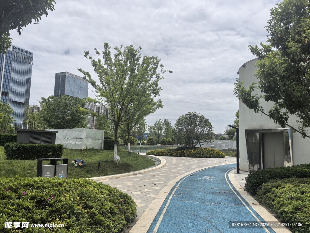 城市中的静谧景观步道