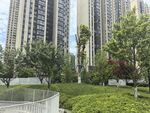 城市高楼旁的绿植景观