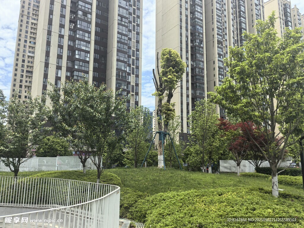 城市高楼旁的绿植景观