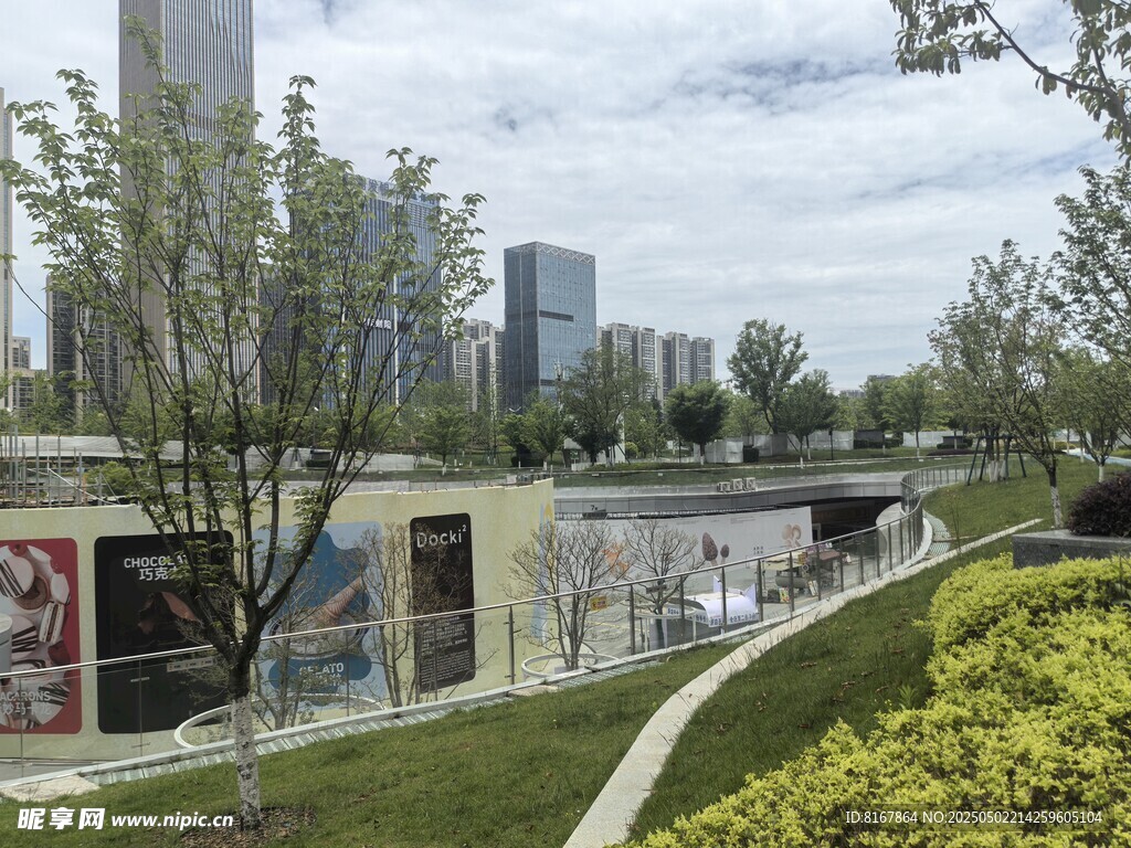 现代城市景观中的建筑与绿植