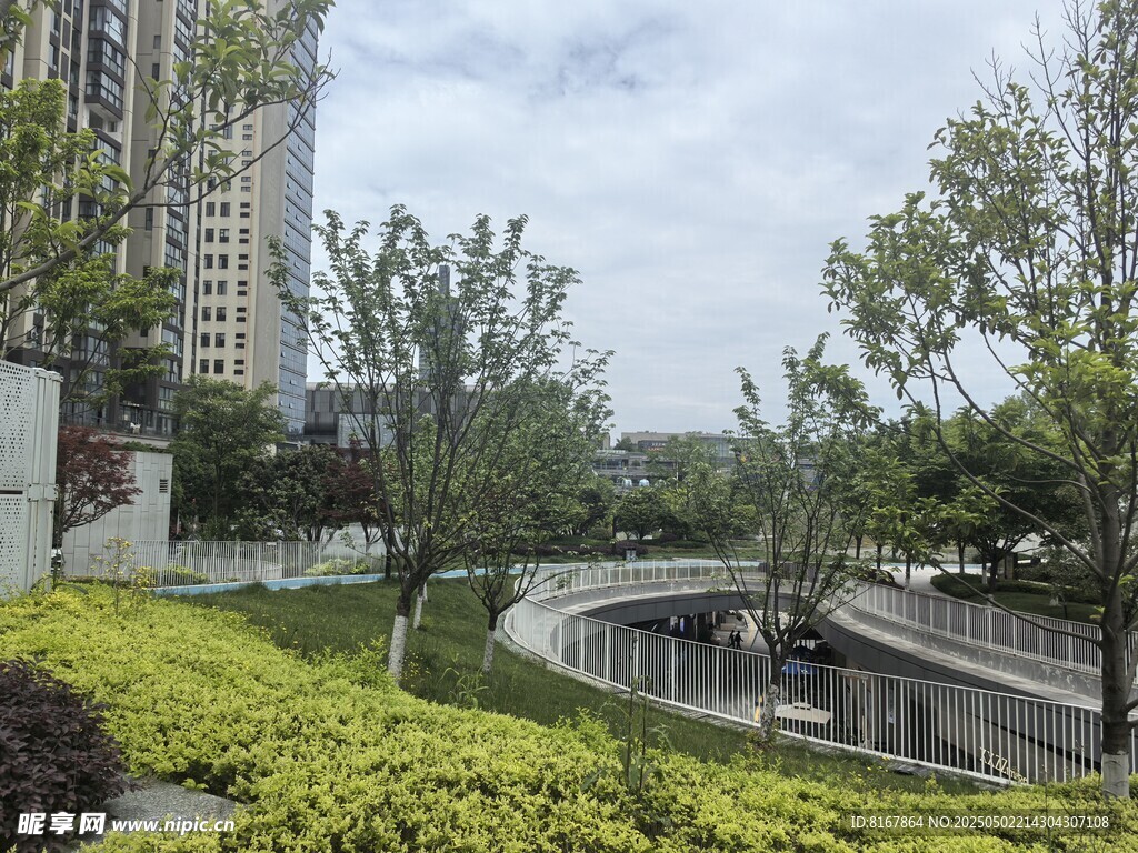 城市中的绿植景观角落