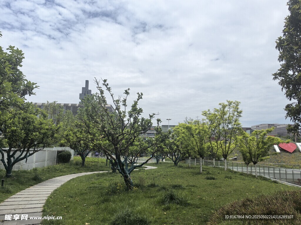 园林小径绿意盎然景色美