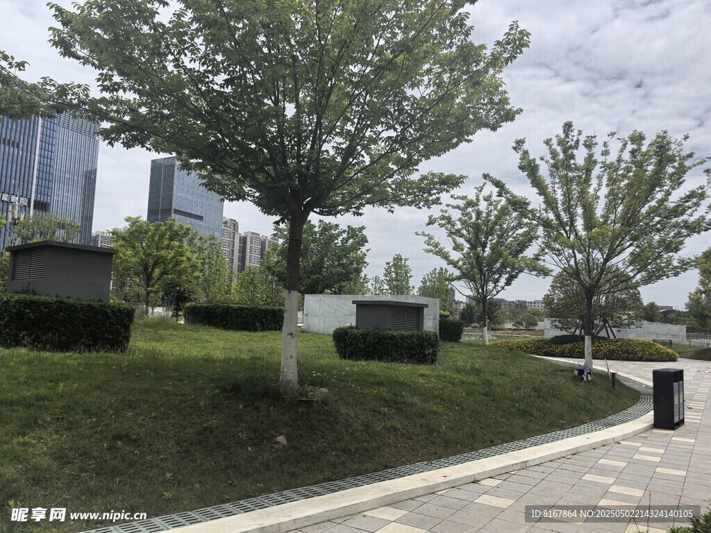 城市公园中的绿树与步道
