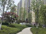 小区内的林荫小径景观
