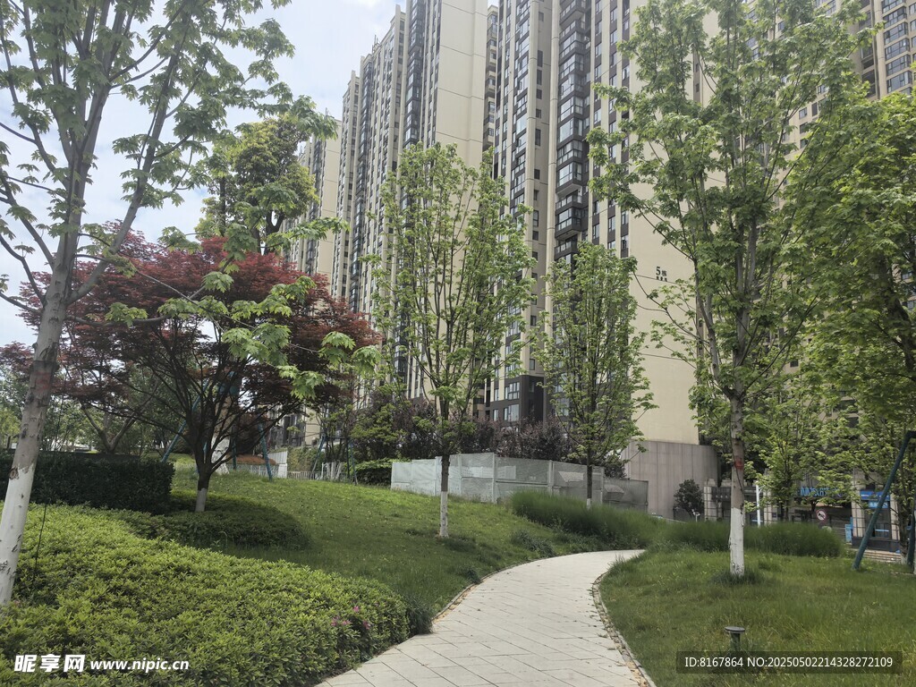 小区内的林荫小径景观
