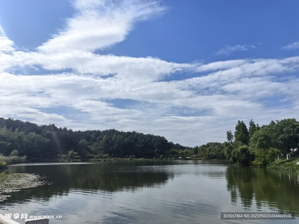 宁静湖畔风光