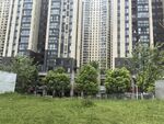 高层住宅前的绿植景观