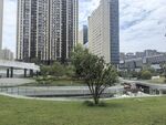 城市中的绿地与高楼景观