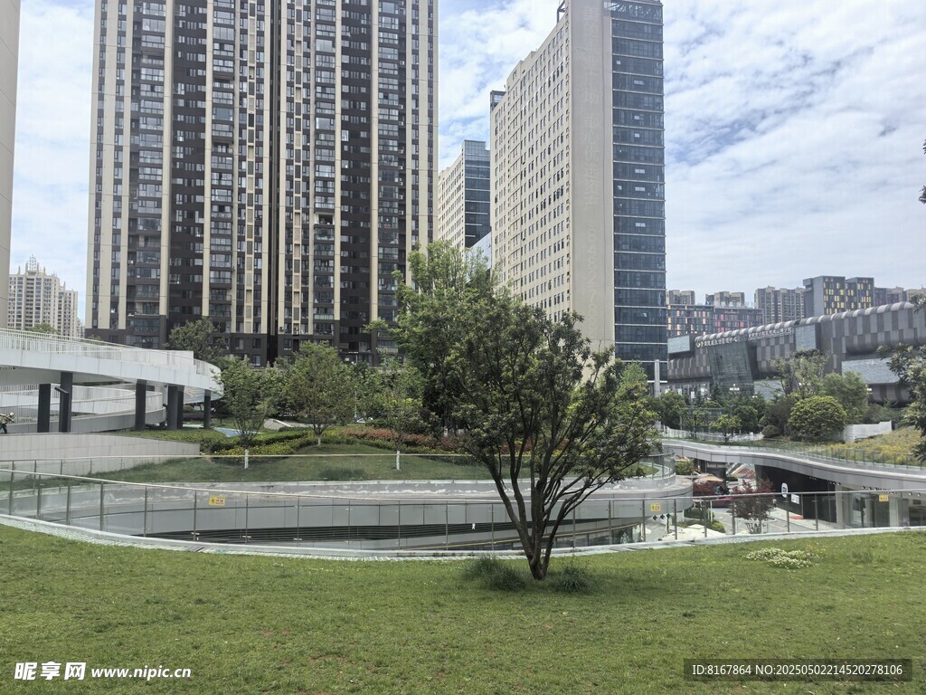 城市中的绿地与高楼景观
